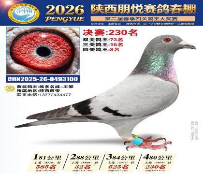 陕西朋悦决赛230名
