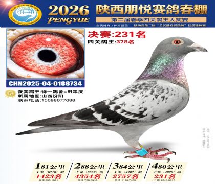 陕西朋悦决赛231名