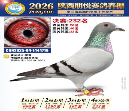 陕西朋悦决赛232名