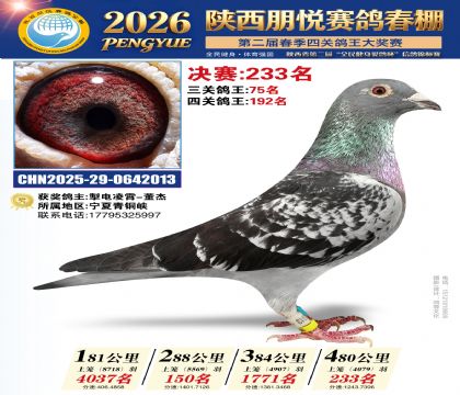 陕西朋悦决赛233名