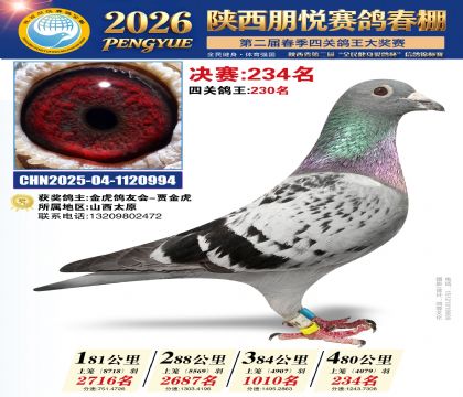 陕西朋悦决赛234名