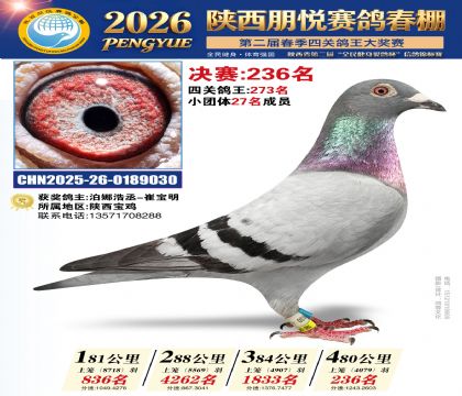 陕西朋悦决赛236名