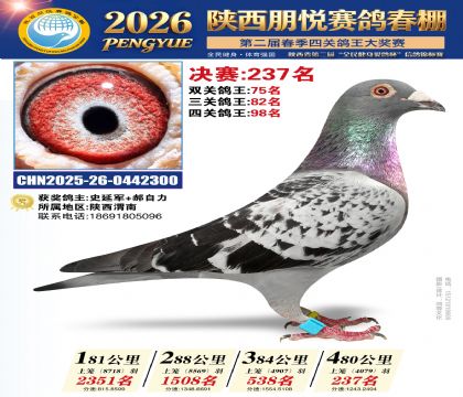 陕西朋悦决赛237名