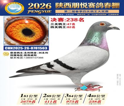 陕西朋悦决赛238名