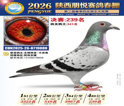 陕西朋悦决赛239名