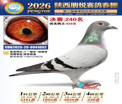 陕西朋悦决赛240名