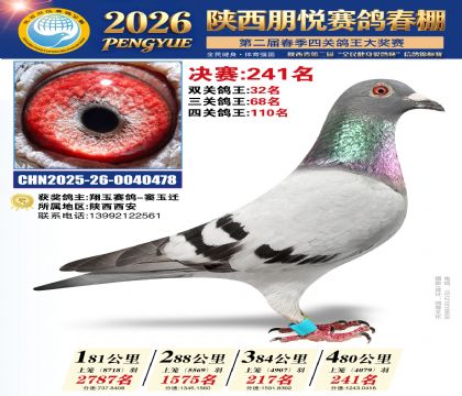 陕西朋悦决赛241名