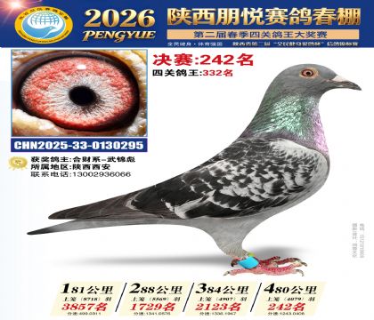 陕西朋悦决赛242名