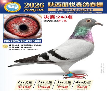 陕西朋悦决赛243名