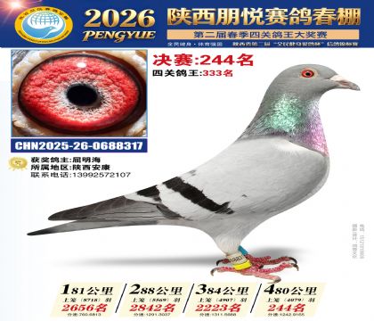 陕西朋悦决赛244名