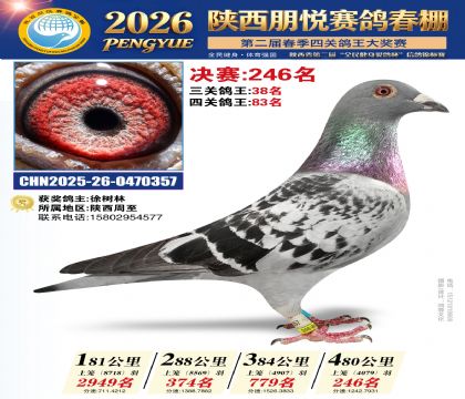 陕西朋悦决赛246名