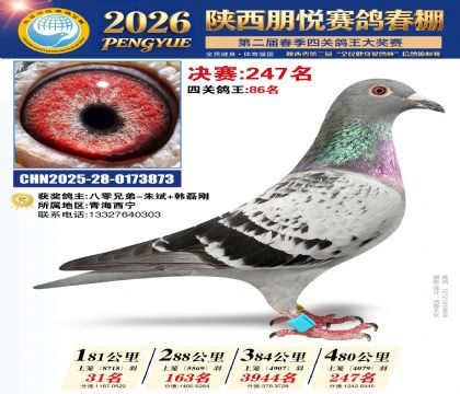 陕西朋悦决赛247名