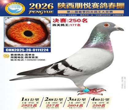 陕西朋悦决赛250名