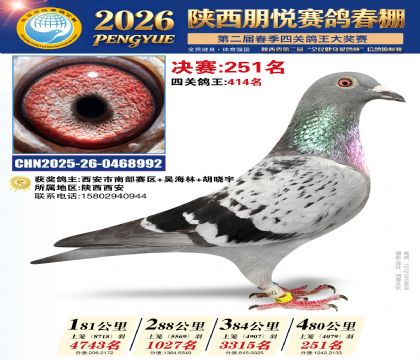 陕西朋悦决赛251名