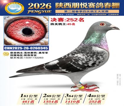 陕西朋悦决赛252名