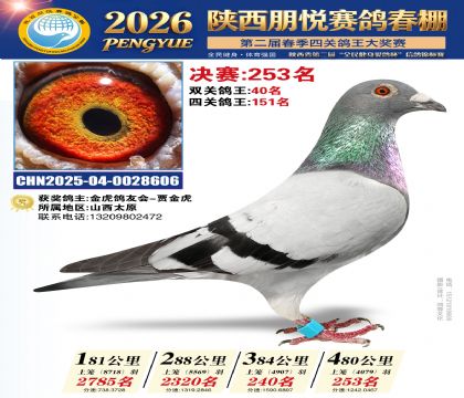陕西朋悦决赛253名