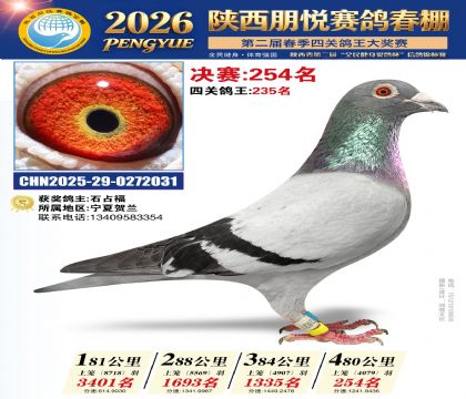 陕西朋悦决赛254名