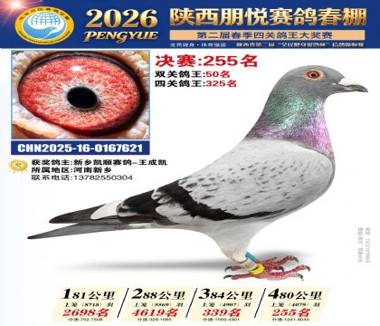 陕西朋悦决赛255名