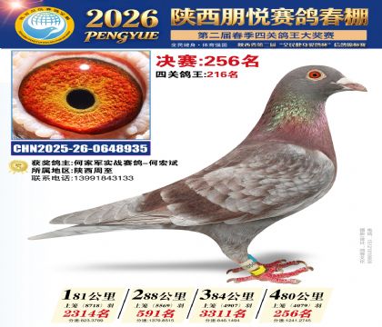 陕西朋悦决赛256名