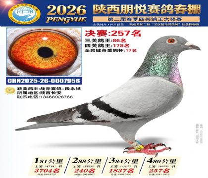陕西朋悦决赛257名