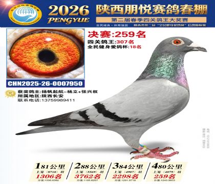 陕西朋悦决赛259名