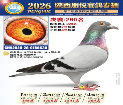 陕西朋悦决赛260名
