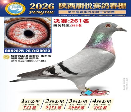 陕西朋悦决赛261名