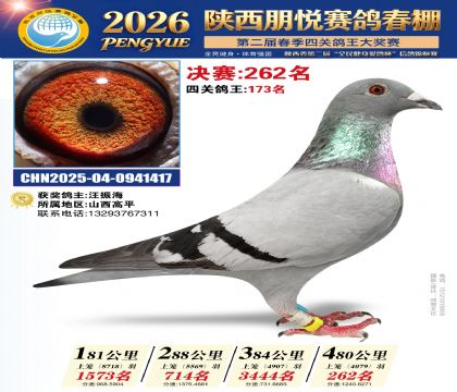 陕西朋悦决赛262名