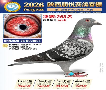 陕西朋悦决赛263名