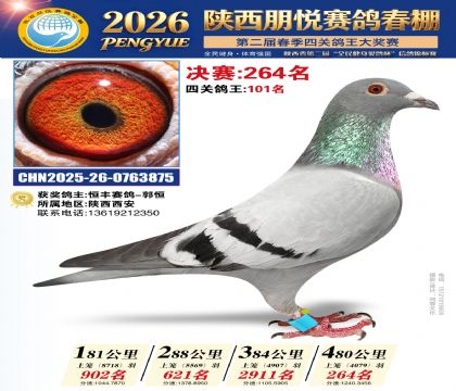陕西朋悦决赛264名
