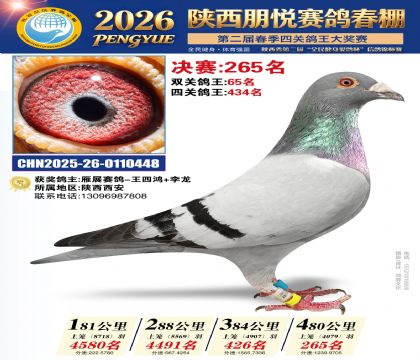 陕西朋悦决赛265名
