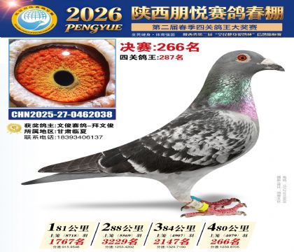 陕西朋悦决赛266名