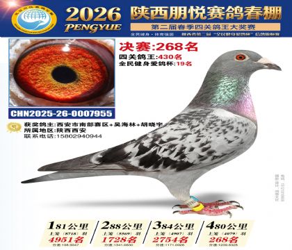 陕西朋悦决赛268名