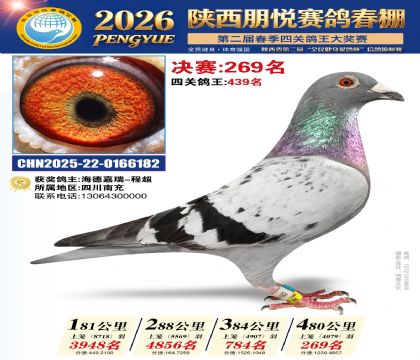 陕西朋悦决赛269名