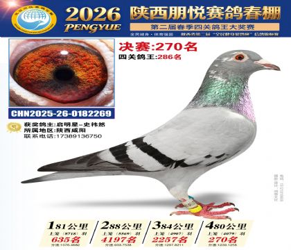陕西朋悦决赛270名
