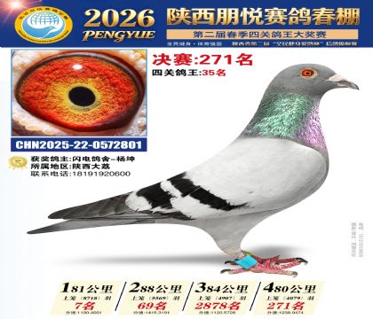 陕西朋悦决赛271名