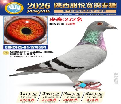 陕西朋悦决赛272名