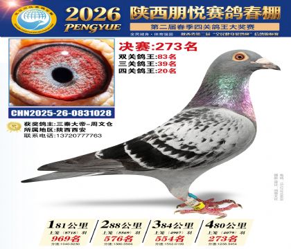 陕西朋悦决赛273名