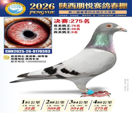 陕西朋悦决赛275名