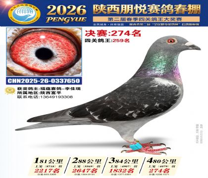 陕西朋悦决赛274名