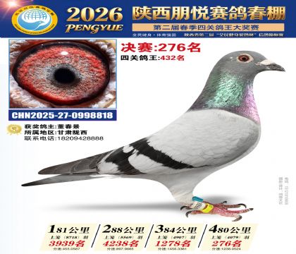 陕西朋悦决赛276名
