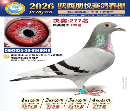 陕西朋悦决赛277名