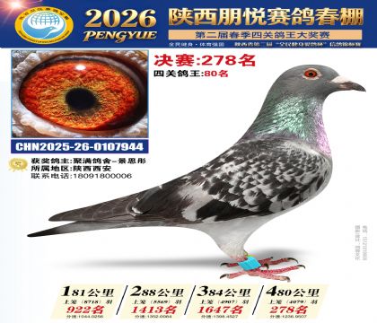 陕西朋悦决赛278名