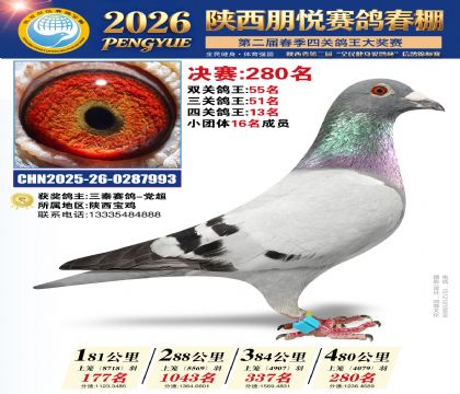 陕西朋悦决赛280名