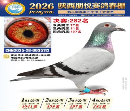 陕西朋悦决赛282名