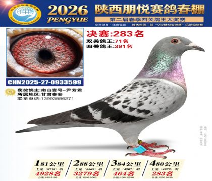 陕西朋悦决赛283名