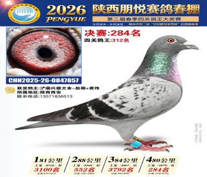 陕西朋悦决赛284名