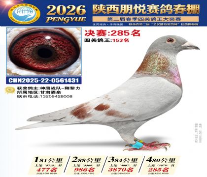 陕西朋悦决赛285名
