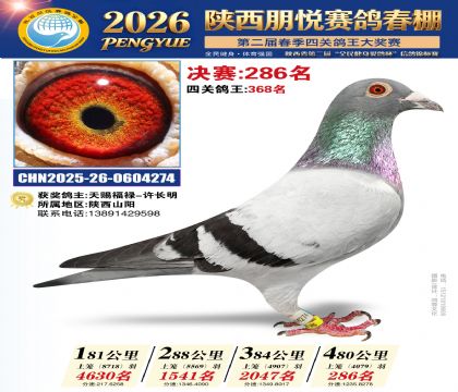 陕西朋悦决赛286名