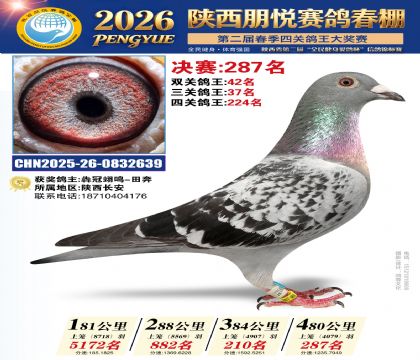 陕西朋悦决赛287名